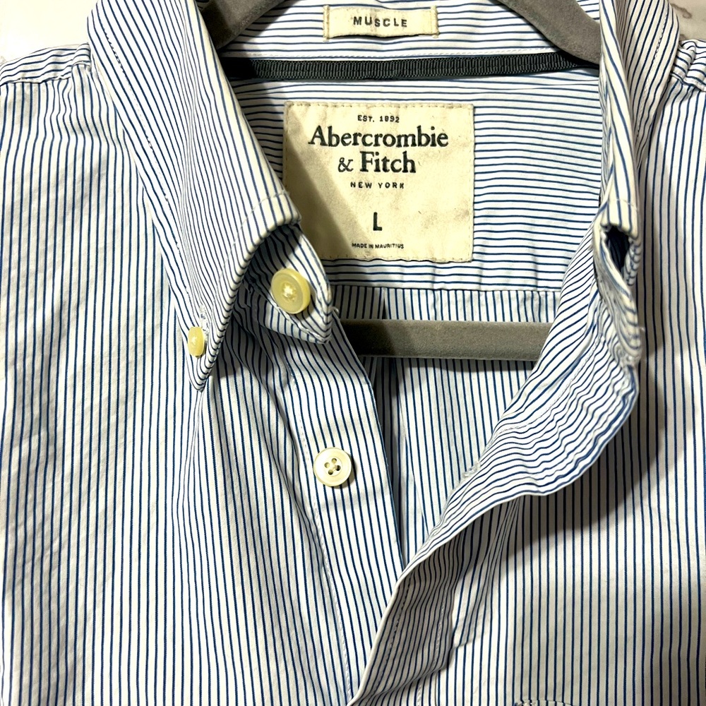 Men’s Preppy Abercrombie & Fitch Long Sleeve Shirt, Blue Pin Striped